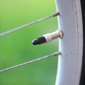 Valve Caps Bicycles