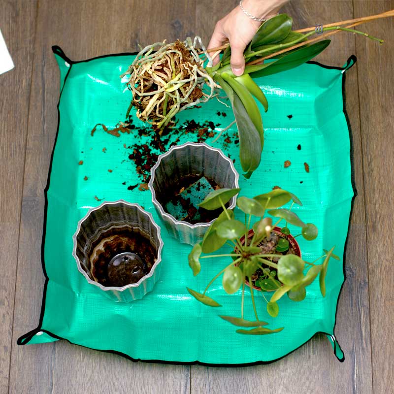 Work Mat with Edges – For potting, crafting & DIY